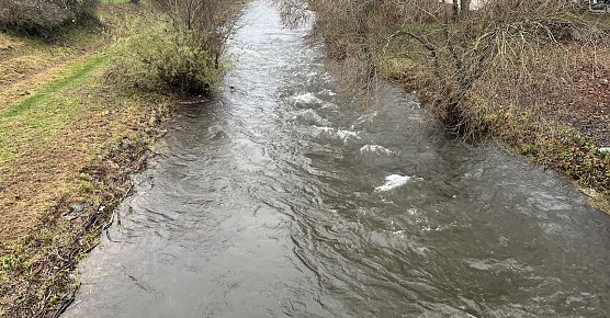 Die Zorge in Nordhausen beginnt &uuml;ber die Ufer zu treten (Foto: oas)