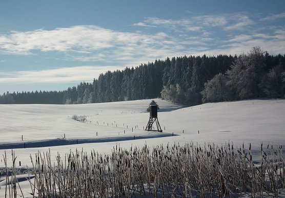 Die Jagd sorgt f&uuml;r angepasste Wildbest&auml;nde � Voraussetzung f&uuml;r einen erfolgreichen Waldumbau und die Wiederbewaldung (Foto: Dr. Horst Spro&szlig;mann)