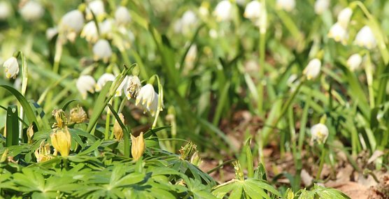 Wetterbild (Foto: agl) Wetterbild (Foto: agl)