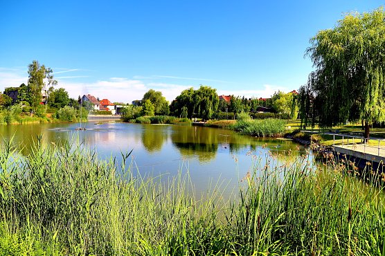 Teichkonzerte zuk&uuml;nftig am malerischen M&auml;rtens Teich (Foto: R.Wei&szlig;bach)
