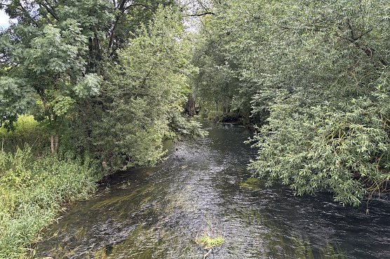 Im Unstrut-Tal (Foto: oas)