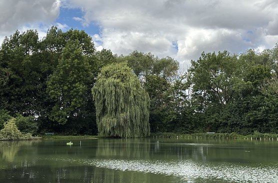 Das Wetter bleibt sehr best&auml;ndig unbest&auml;ndig (Foto: oas)