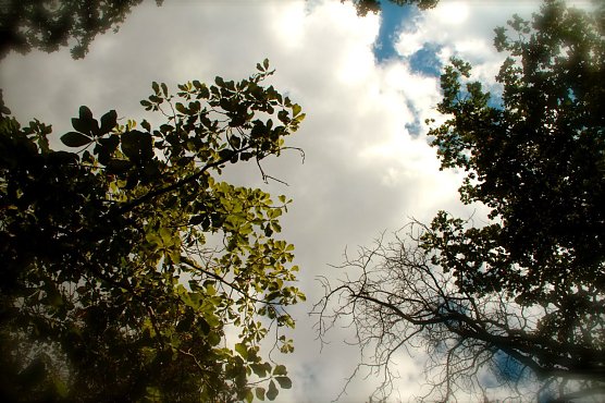 Wetterbild (Foto: agl) Wetterbild (Foto: agl)