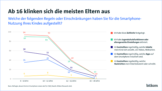 Grafik (Foto: Bitkom)