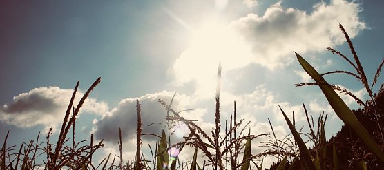 Wetterbild (Foto: nnz)