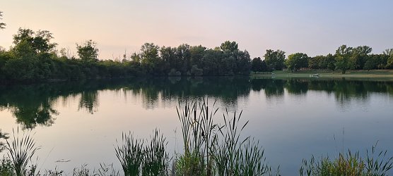 Abendstille am Kiesschacht (Foto: Sylvia Schieblich)
