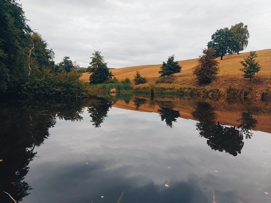 2. Fischteiche Helenenhof (Foto: Ramona Fischer) 2. Fischteiche Helenenhof (Foto: Ramona Fischer)