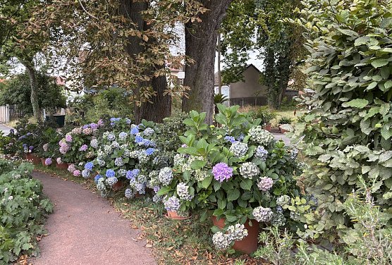 Weiter schönes Sommerwetter in Thüringen (Foto: oas) Weiter schönes Sommerwetter in Thüringen (Foto: oas)