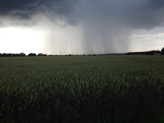 Das Wetterbild (Foto: nnz)