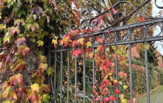 Windböen in den Kammlagen erwartet (Foto: oas) Windböen in den Kammlagen erwartet (Foto: oas)