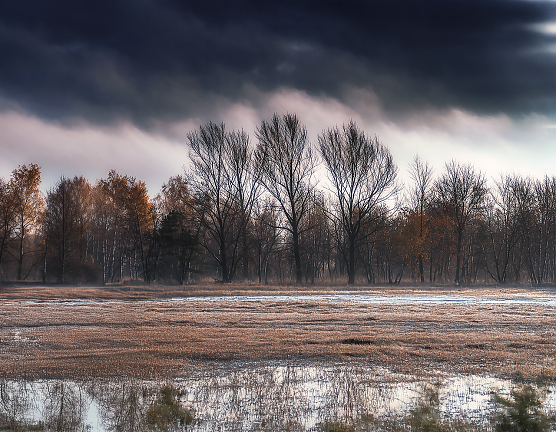 Wetterbild (Foto: rubinogiuseppeBiancavilla/pixabay.com) Wetterbild (Foto: rubinogiuseppeBiancavilla/pixabay.com)