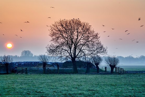 Wetterbild (Foto: pixabay.com) Wetterbild (Foto: pixabay.com)