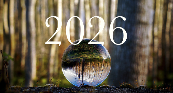 Bei der Agentur f&uuml;r Arbeit wurde heute wieder in die Glaskugel geblickt (Foto: Pietro Merola/pixabay.com)