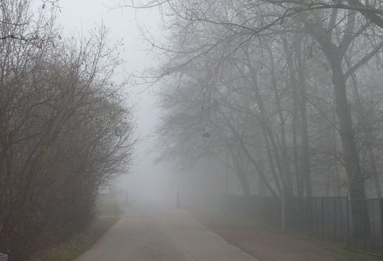 Wetterbild (Foto: nnz) Wetterbild (Foto: nnz)