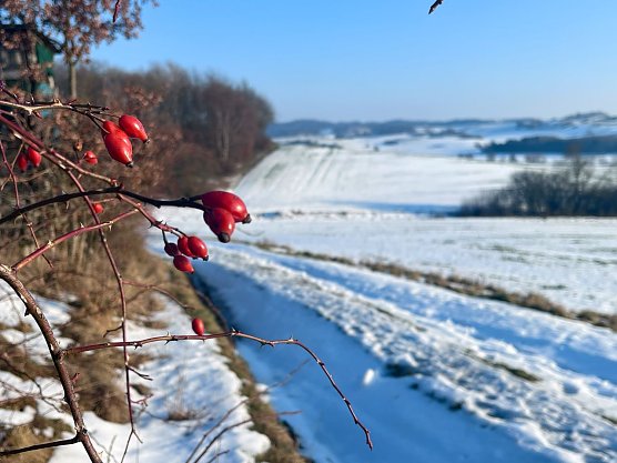 Es bleibt auch die n&auml;chsten Tage kalt und winterlich. (Foto: ssc)