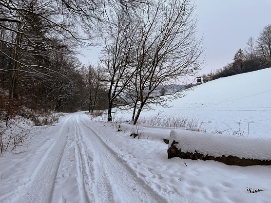Symbolbild Winterwetter (Foto: ssc)