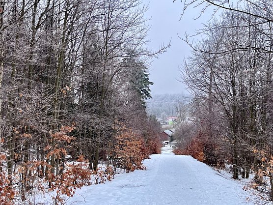 Symbolbild Winterwetter (Foto: ssc)