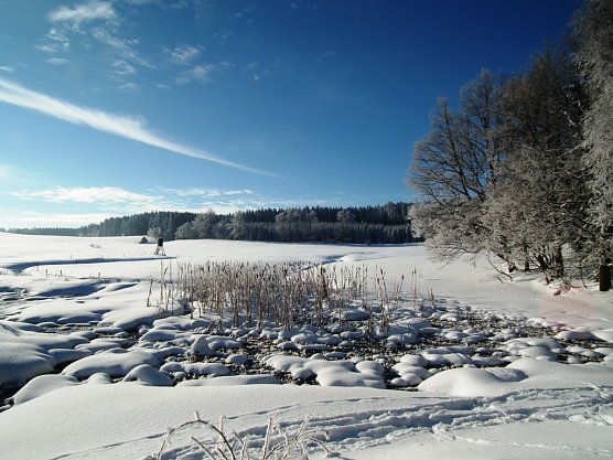 Winterlandschaft im Schnee (Foto: ThüringenForst) Winterlandschaft im Schnee (Foto: ThüringenForst)