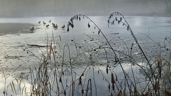 Wetterbild (Foto: agl) Wetterbild (Foto: agl)