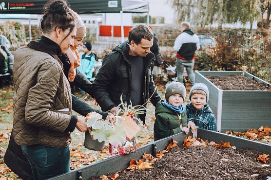 Zur Er&ouml;ffnung des Gemeinschaftsgartens am 25. Oktober 2025 pr&auml;sentieren Nadine Burchard (Obereichsfelder Bildungswerk e.V.), Ingrid Ziegenfu&szlig;-Heller (Leiterin Kita St. Bonifatius) und Markus Friedrich (Stadtteilb&uuml;ro Leinefelde) ein paar der Pflanzen und Geschenke die G&auml;ste mitgebracht haben. (Foto: Tim Krchov)