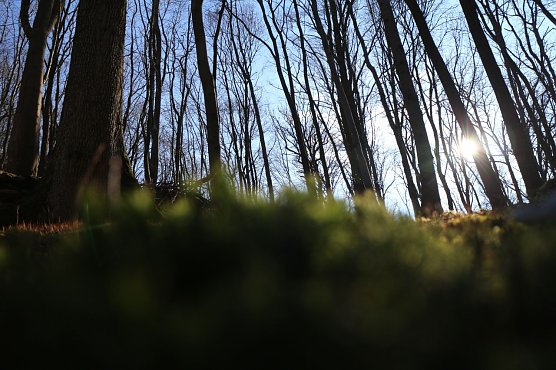 Wetterbild (Foto: agl)