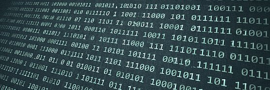 World Backup Day (Foto: vgf)