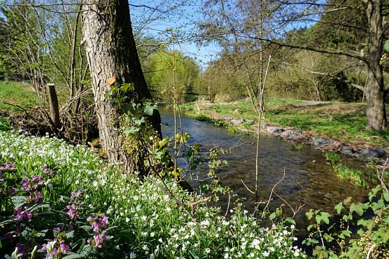 Symbolbild Wetter (Foto: ssc) Symbolbild Wetter (Foto: ssc)