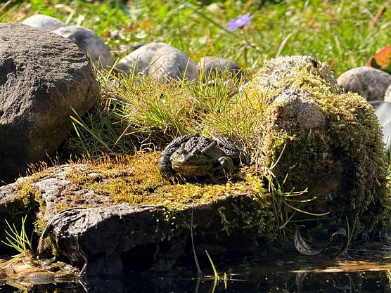Wetterbild (Foto: sm) Wetterbild (Foto: sm)