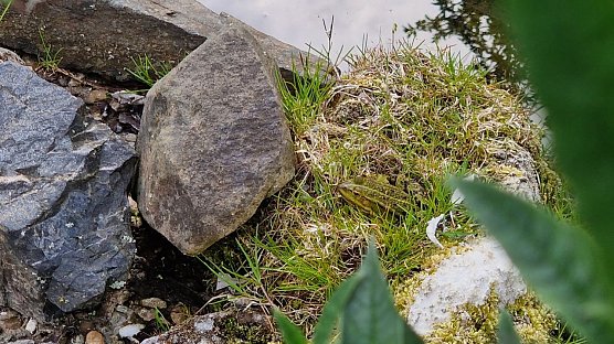Wetter- und Suchbild (Foto: agl)