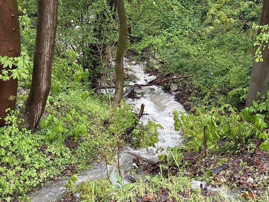 Wetterbild (Foto: S. Dietzel) Wetterbild (Foto: S. Dietzel)