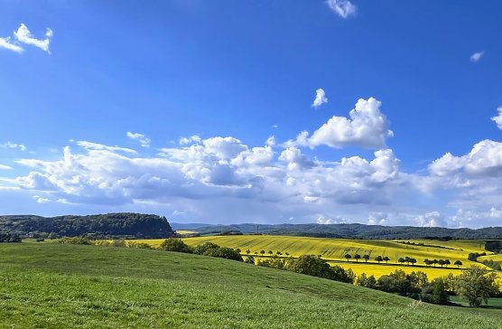 Symbolbild Fr&uuml;hling (Foto: ssc)