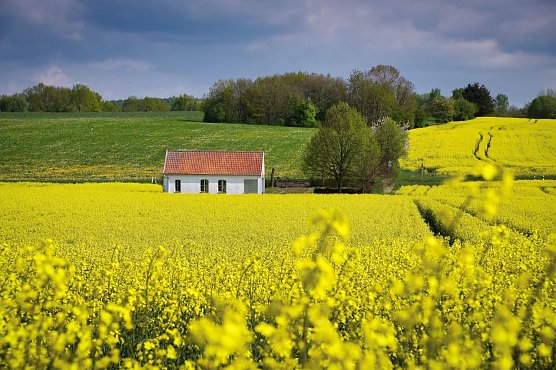 Symbolbild Wetter (Foto: ssc) Symbolbild Wetter (Foto: ssc)