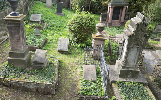 Der jüdische Friedhof in Heiligenstadt. (Foto: Marie-Luis Zahradnik) Der jüdische Friedhof in Heiligenstadt. (Foto: Marie-Luis Zahradnik)