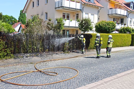 Heckenbrand in Heiligenstadt (Foto: Feuerwehr Heiligenstadt)
