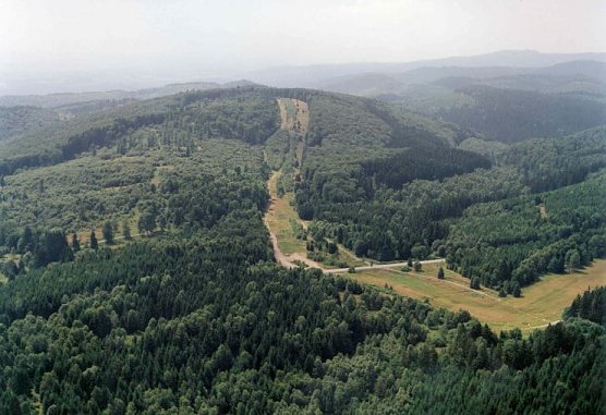Gr&uuml;nes Band bei Ellrich (Foto: privat)