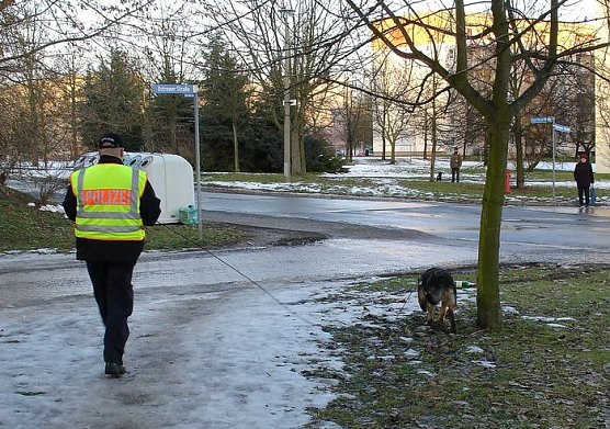 Polizei sucht Spuren (Foto: Polizei)