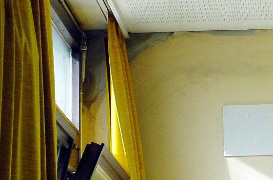 Bild: Wer bei der Wasserabf&uuml;hrung mit Do-it-yourself sparen will, zahlt meist drauf: Feuchtigkeitssch&auml;den im Mauerwerk sind die Folge