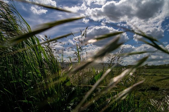 Bild: Wetter-Bild