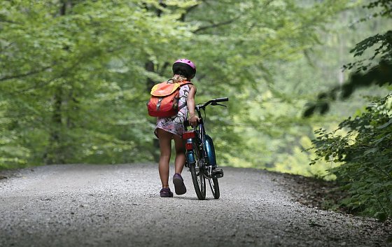 Bild: Nicht immer ist der k&uuml;rzeste Weg der beste - gelegentlich sollte man einen kleinen Umweg nicht scheuen.