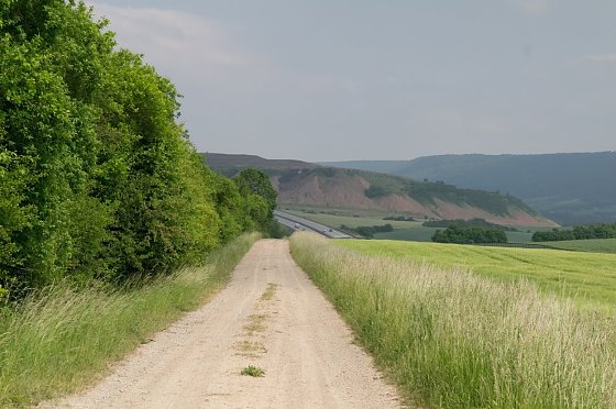 Bild: Wetter-Bild