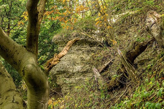 Bild: Felswand der Hasenburg