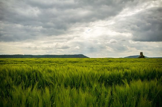 Bild: Wetter-Bild