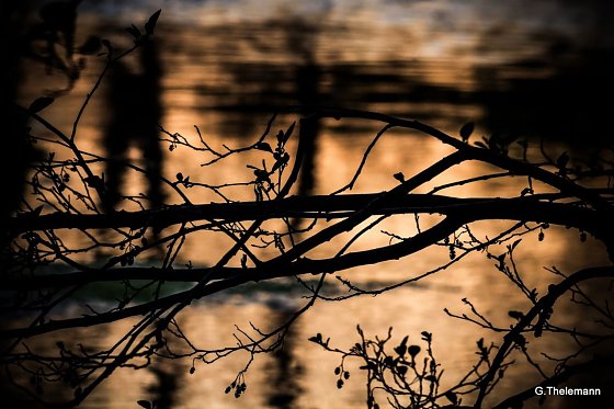 Bild: Wetter-Bild
