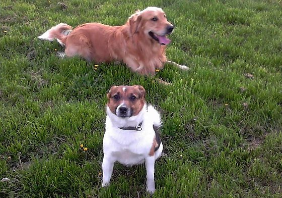Bild: Merlin und Felix