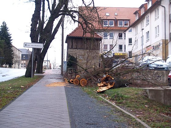 Bild: Der Tag danach in Nordhausen
