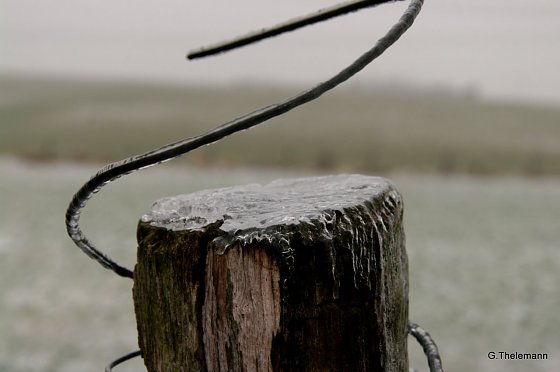 Bild: Wetter-Bild