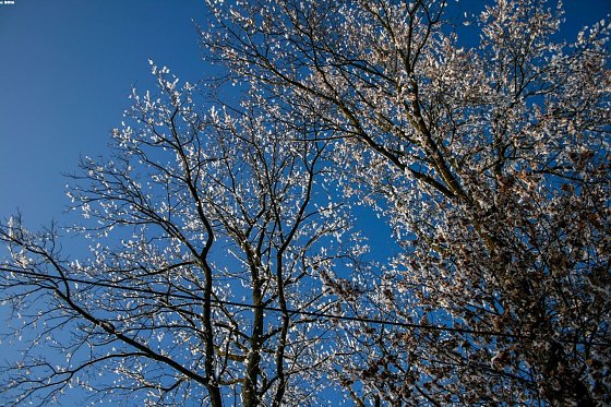 Bild: Wetter-Bild