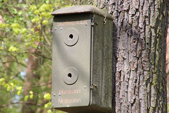 Bild: Hornissen-Nistkasten