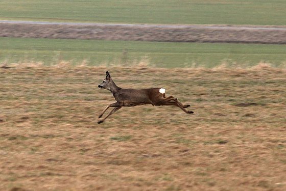 Bild: Wetter-Bild