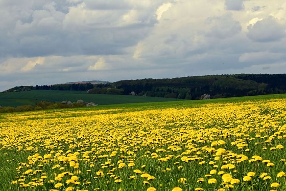 Bild: Wetter-Bild